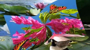 Пожелание с добрым утром!