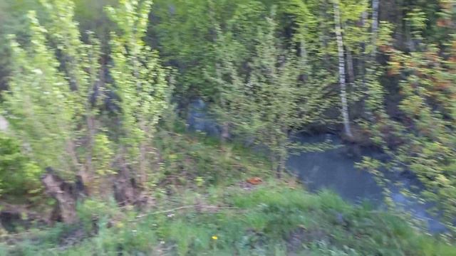 сброс из золоотстойника ЮК ГРЭС в реку Кондома через Еремеш смотреть онлайн