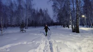 закат в лесу