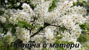 Притча о матери.