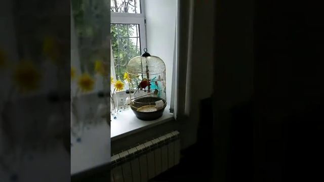 Студия Ларисы Дзюба Шугаринг Ярославль смотреть онлайн