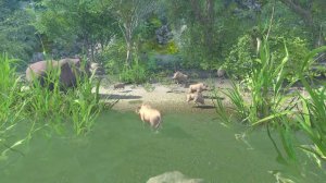 Wild Life CE2