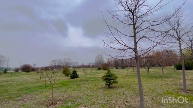 Парк им. 300-летия полиции России. Краснодар.