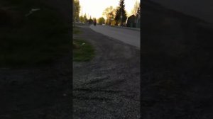 САМОДЕЛЬНЫЙ ТРИЦИКЛ с двигателем от мотокультиватора 6.5л.с.и редуктором с автоматическим сцепление