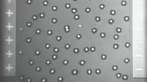 Дисперсные системы.