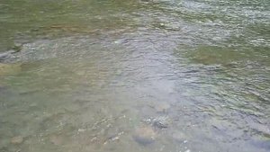 Река Курджипс, пос.Краснооктябрьский, дорога домой!