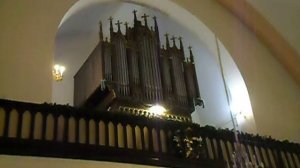 15.01.2022 «ГУСЛИ и ОРГАН» Дуэт: Елизавета Панченко, орган и Анастасия, гусли. "В КРУГУ СВЯТЫХ".