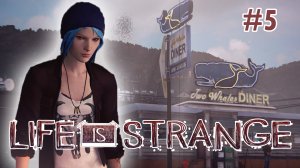 LIFE IS STRANGE #5 / НАША ОБЩАЯ ТАЙНА!