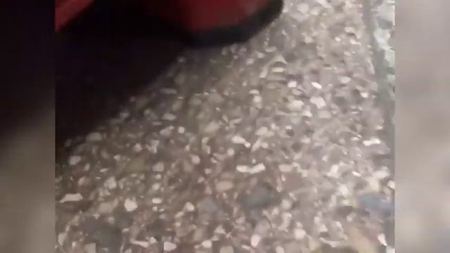 Мыши в воронежском Магните смотреть онлайн