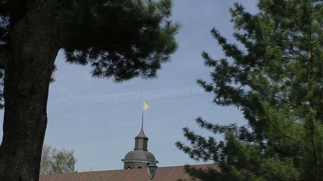 07 Кедровая роща в Толгском монастыре смотреть онлайн