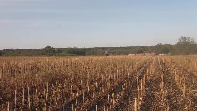 Измельчитель своими руками. Самодельный измельчитель. Мтз-80. Бём палку 2020. смотреть онлайн