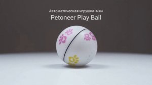 Топ 3 электронных игрушек для кошек: Ваш питомец будет в восторге!