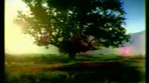 Реклама Hyundai Getz 2004 год