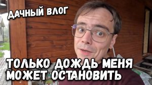 Наконец-то я посадил все цветы, что из этого вышло? Ландшафт или благоустройство участка на даче