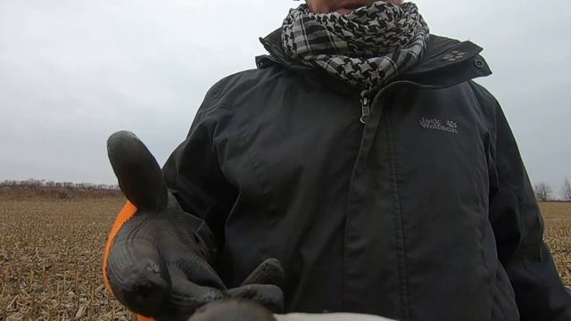 Визит в Музей с подарками - коп на лугах Мирополья ! смотреть онлайн