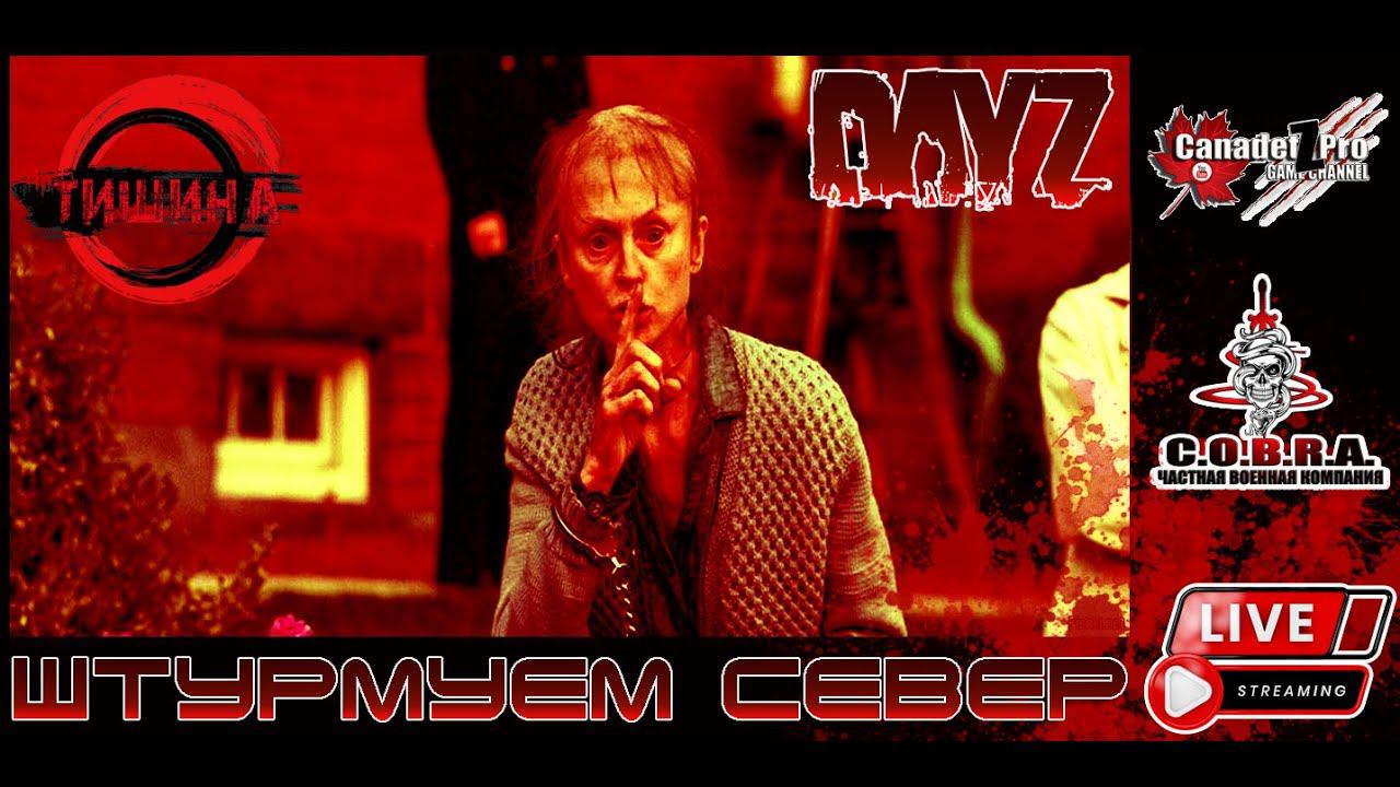 DayZ: Проект ТИШИНА ч. 2