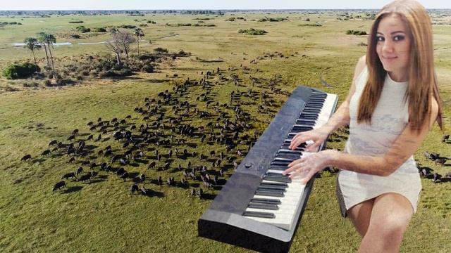 "Alouette" Paul Mauriat - Ariel Ramirez "La Peregrinacion"~"Жаворонок" #pianocover #вмиреживотных