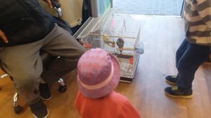 КУПИЛИ ДВЕ ЗОЛОТЫЕ РЫБКИ ПО ЦЕНЕ ОДНОЙ ?? ВЛОГ в Зоомагазине ✡️ ИЗРАИЛЬ 2019