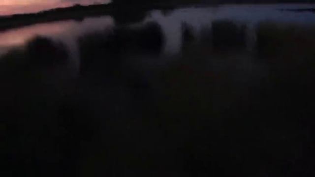 Открытие охоты в Московской области 2023 смотреть онлайн