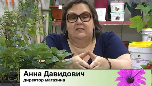 Крупноплодная садовая земляника, яблони с красной мякотью и другие плодовые!