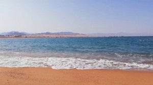 Barcelo Tiran Sharm 5* Пляж. Египет, Шарм-Эль-Шейх. Сентябрь 2018 г. #3