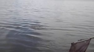 Рыбалка в Новоалександровке