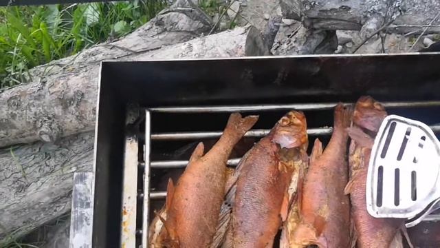 Окунь копчёный