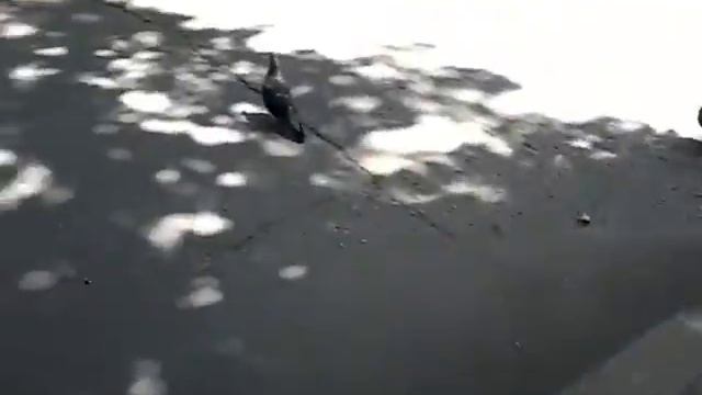 Децкий городок сказка вторая часть смотреть онлайн