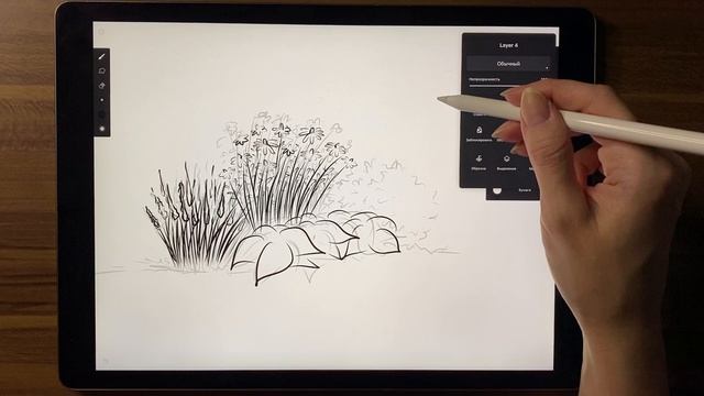 5 день челленджа. Рисуем многолетник. Программа Infinite Painter