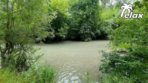 Nature Sounds on the bank of a Forest River - Relaxation, Meditation or Sleep