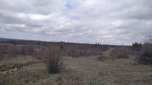 Окружающий мир города Красный Луч l Прогулка по окрестностям посёлка Софиевка