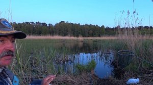 Отличная рыбалка на линя! Линь не давал дремать) #линь #линьнапоплавок #ловлялиня