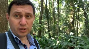 Покажу, как живут богачи и знаменитости Бразилии в Сан-Паулу - городе небоскрёбов, парков и церквей
