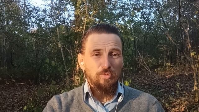 Почему растения - "учителя"? Чему они учат. Грибы любят любовь. смотреть онлайн