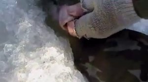 рыбалка в Курчатове на реке Сейм вот это улов