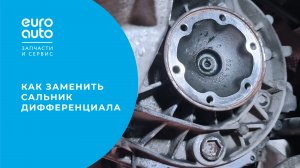 Как заменить сальник дифференциала. Мастер-класс от Евроавто.