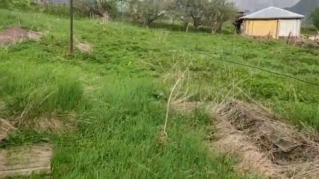 с.Верхний Цей смотреть онлайн