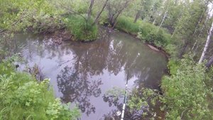 Хариус на поплавок