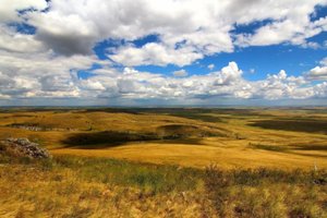 лесостепи и степи