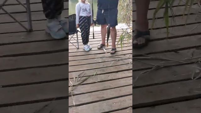 Озеро Кучки село Родное. Крым. август 2022г. смотреть онлайн