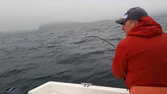 Лакедра кастинг смотреть онлайн