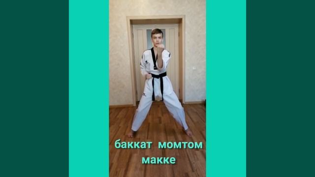 Тхэквондо. Базовая техника рук