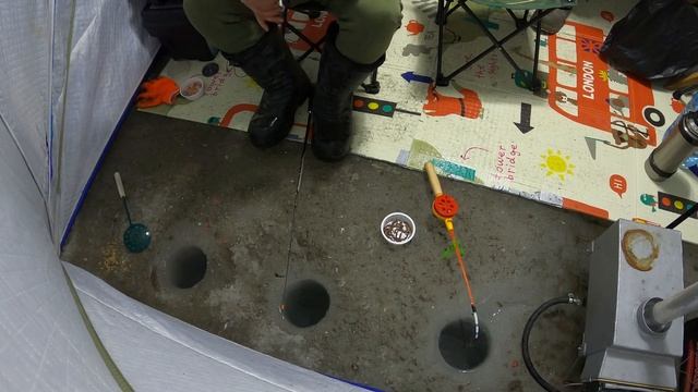 МОРСКАЯ РЫБАЛКА/ШКОТОВО/ПРИМОРСКИЙ КРАЙ/НАВАГА/2020/2021/The Fish