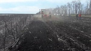 Дискование подсолнечника Kverneland Qualidisc Pro 7000T