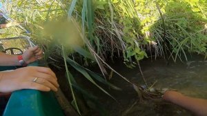 Рыбалка Астрахань база Фортуна