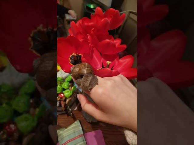 30 апреля 2023 г. смотреть онлайн