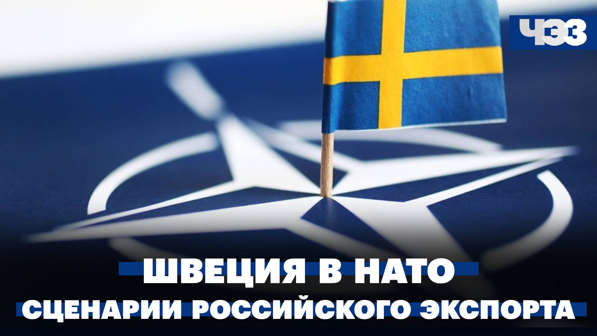 Швеция стала членом НАТО. Два возможных сценария российского экспорта