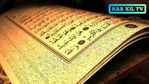 Курон хакида малумот /Qurʼon haqida maʼlumot