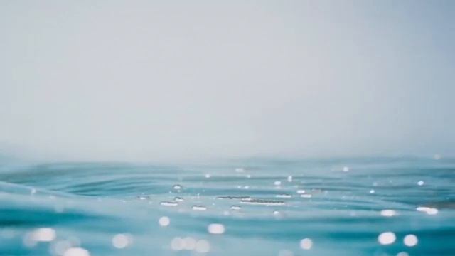 We're going on a bear hunt смотреть онлайн