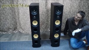Обзор акустической системы PSB Imagine X2T  black